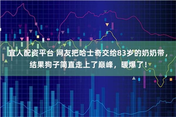 宜人配资平台 网友把哈士奇交给83岁的奶奶带，结果狗子简直走上了巅峰，暖爆了！