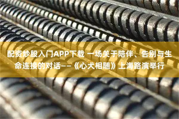 配资炒股入门APP下载 一场关于陪伴、告别与生命连接的对话——《心犬相随》上海路演举行